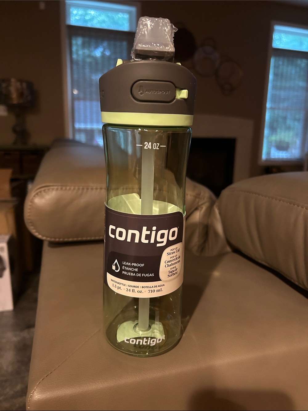 Contigo 24oz Ashland 2.0 AutoSpout Tritan Water Bottle - Cucumber